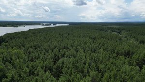 База отдыха "Филин"