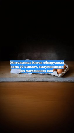 Жительница Китая обнаружила дома 70 цыплят, вылупившихся из магазинных яиц