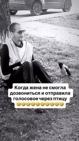 Везде достанет!