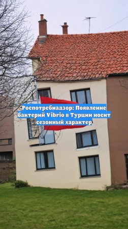 Роспотребнадзор: Появление бактерий Vibrio в Турции носит сезонный характер