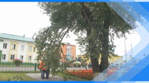 21.07.2025    Уборка территорий ведется в Киселевске после урагана