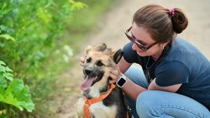 Аленка из приюта ищет дом!