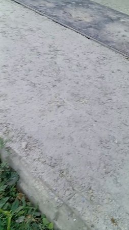 ëжики