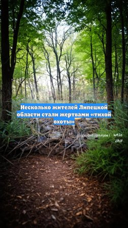 Несколько жителей Липецкой области стали жертвами «тихой охоты»