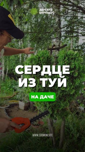 Любовь повсюду