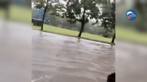 Неделя под дождём: в Москве и Подмосковье прогнозируют сильные осадки