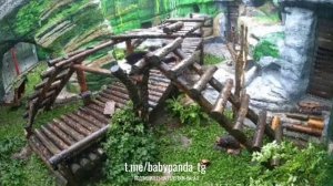 🐼 Наша неунывающая Катюша знает, как поднять настроение! 🌧