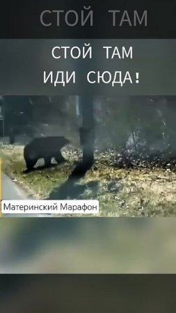 Позитив в ленту!🤣