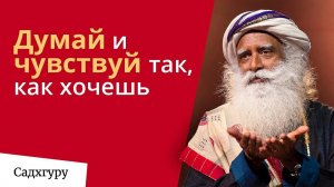 Преобрази свои мысли и чувства