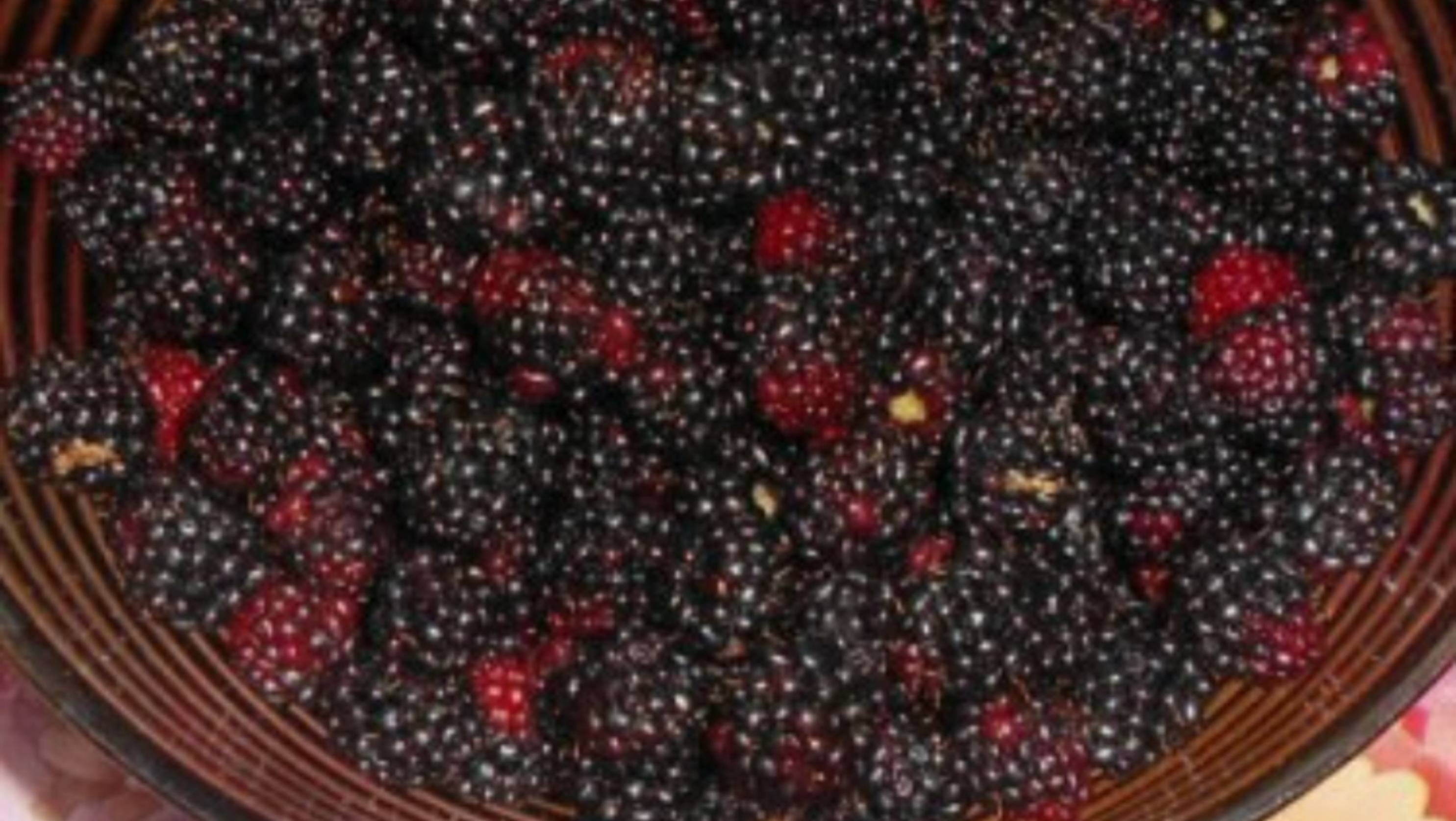 Компот из ежевики