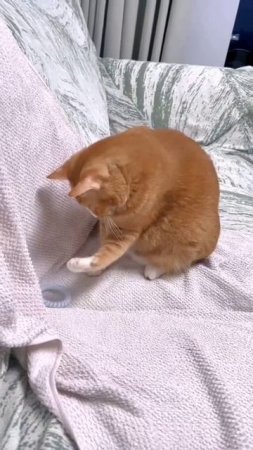 1000015836.mp4