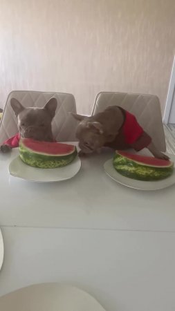 Подпишись 👉 https://vk.com/ykrasheniy_iz_kamny