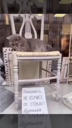 Клип @look_to_piter