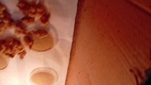 Последствия вылупа перепелят в открытом инкубаторе. Так ли это критично?