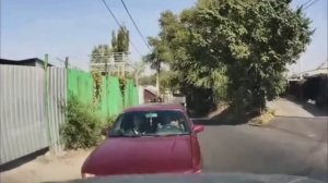 Аварии и ДТП на дороге ВОДЯТЛЫ и ЛЕТУНЫ