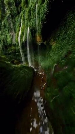 Avatar Flight in real life 😍😍 Guess the country! ⬇️