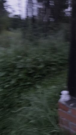 1000014860.mp4