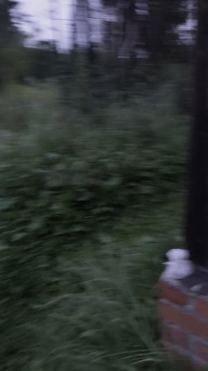 1000014860.mp4