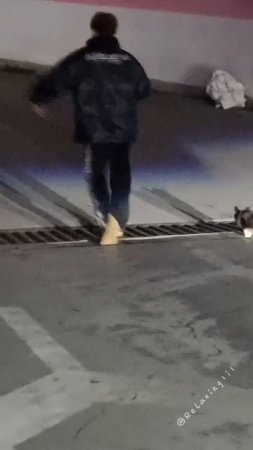 1000065239.mp4