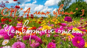 СП "А лето цвета 3" четвертый отчёт