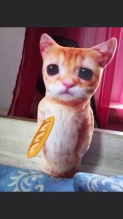 гоша😸#гоша #мааятникухахна #доля
