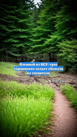 Пленный из ВСУ: трое украинских солдат сбежали из госпиталя