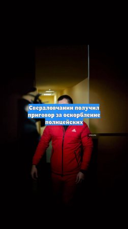 Свердловчанин получил приговор за оскорбление полицейских