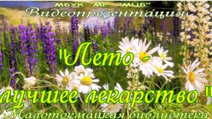 Видеопрезентация "ЛЕТО - лучшее лекарство"