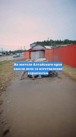На жителя Алтайского края завели дело за изготовление взрывчатки