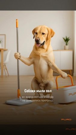 Как убрать шерсть животных раз и навсегда? 😂 Согласны?