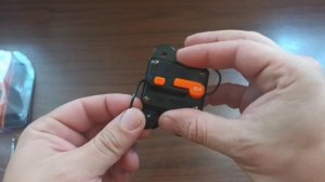 Защита системы Phoenix Automatic Fuse 80