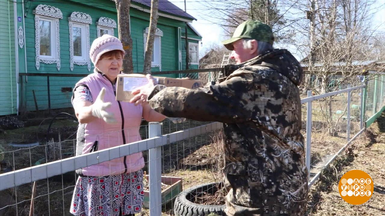 Почта придет! Всюду! Доброе утро. Фрагмент выпуска от 14.07.2025