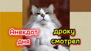 Анекдот дня. Драку смотрел.