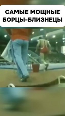 Самые мощные борцы близнецы в истории вольной борьбы #shorts #wrestling #борьба