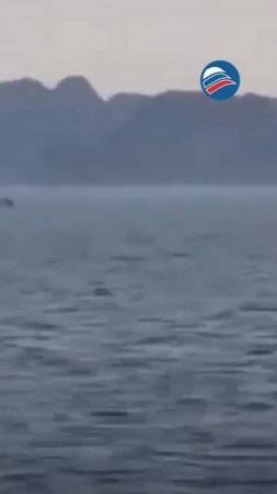 Трагедия в бухте Халонг: 28 погибших после крушения катера во время шторма