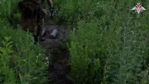 Дистанционное минирование