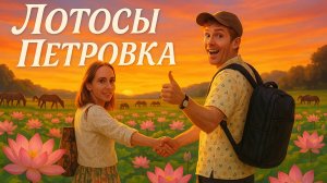 Лотос Приморский край, Лотос Петровка, Озеро лотосов