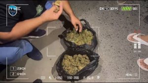 500 граммдан ортиқ марихуана гиёҳвандлик моддаси аниқлаб олинди