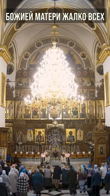 Божией Матери жалко всех