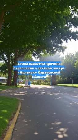 Стала известна причина отравления в детском лагере «Орленок» Саратовской области