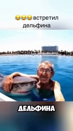 Ух, дельфин