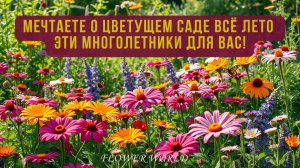 Мечтаете о Цветущем Саде Всё Лето - Эти Многолетники для Вас!💐