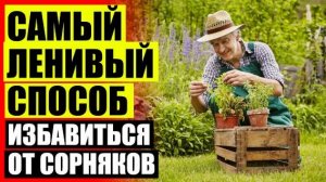 💯 Чистоград от сорняков 💡 Торнадо от сорняков отзывы