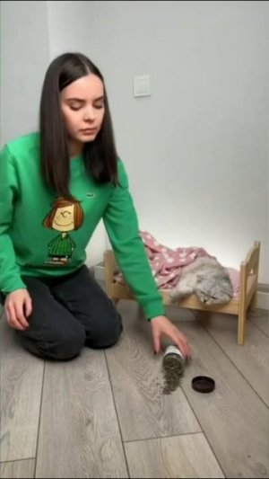 Смешные коты #67-7