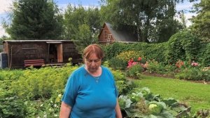 В промежутке между дождём.Убрали лук.