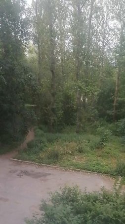Несутся, боятся промокнуть