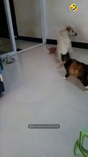 1000065269.mp4