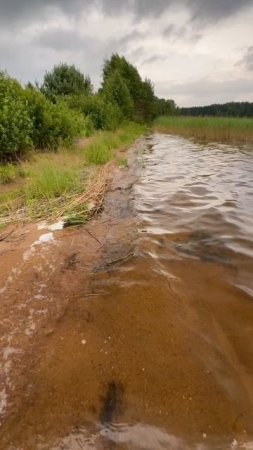 Никита ГаЙкА в гостях у ВЕЛЕСА