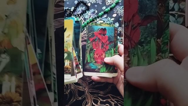 ТАРО ВОРОН. ТАРО СВЯТОЙ СМЕРТИ.