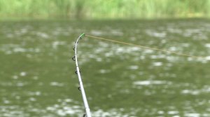 РЫБАЛКА НА ФИДЕР НА РЕКЕ. Хопёр.